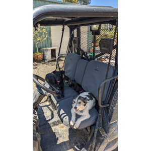 Miller Canvas is a leading SPECIALIST online retailer of Canvas Seat Covers to fit 
CAN-AM UTV 800 DEFENDER, DEFENDER DPS, DEFENDER XT, and DEFENDER MAX DPS and XT.