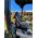 Black Duck® SeatCovers CAT MINI EXCAVATORS 301 / 302 / 303 and more.